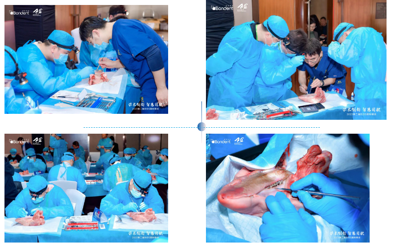 1704343691166982.png 1704343638436.png